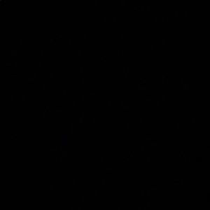 Meet your Posher, Elysia